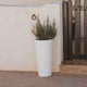 VASO ALTO FICUS 60