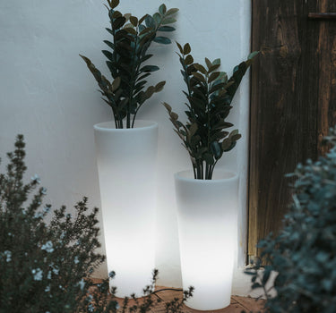 VASO ALTO FICUS 60 CON LUCE