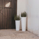 VASO ALTO FICUS 80