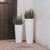VASO ALTO FICUS 60