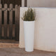 VASO ALTO FICUS 80