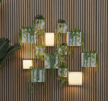 Pack Applique da Parete Solari WALLY + Vasi Verticali | Illuminazione e Giardino Verticale Sostenibile