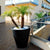 Vaso cilindrico colore GIRASOL 90CM