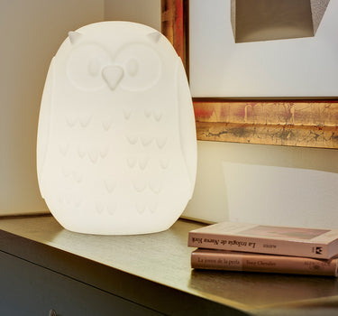 LAMPADA DECORATIVO GUFO 40 | INTERNI