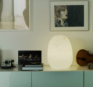 Lampada Decorativo Gufo 40