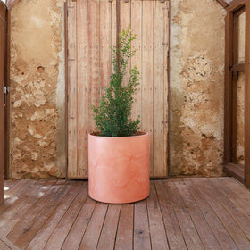 VASO CILINDRICA ALTA HORTENSIA 50