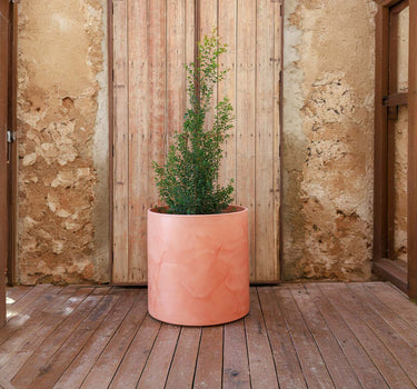 VASO CILINDRICA ALTA HORTENSIA 50