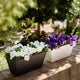 Vaso rettangolare JAZMIN 80 COLORE