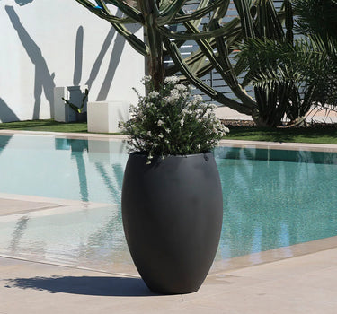 Vaso tondo ALOE 45 - 01