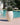 Vaso tondo ALOE 55 - 17
