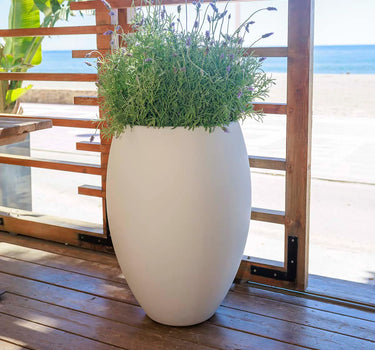 Vaso tondo ALOE 55 - 33