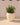 Vaso tondo ARECA 80 - 06