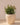 Vaso tondo ARECA 80 - 08
