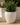 Vaso tondo ARECA 80 - 16