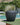 Vaso tondo ARECA 60 - 25