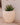 Vaso tondo ARECA 60 - 29
