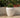 Vaso tondo ARECA 80 - 34