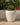 Vaso tondo ARECA 60 - 34