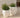 Vaso tondo ARECA 60 - 36