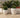 Vaso tondo ARECA 80 - 37