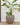 Vaso tondo ARECA 80 - 39