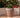 Vaso tondo ARECA 80 - 40