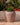 Vaso tondo ARECA 80 - 40