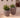 Vaso tondo ARECA 80 - 42