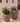 Vaso tondo ARECA 80 - 42