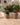 Vaso tondo ARECA 60 - 43