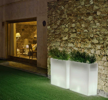 Vaso illuminato JUNCO 80 LUCE