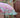 Ombrellone KOMODO ø180cm ROSA TENUO