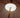 Lampadina portatile ricaricabile per ombrelloni, LIMA