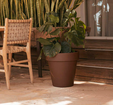 MAGNOLIA 60 TOPO