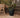 Vaso tondo MAGNOLIA 45 CM Colore