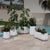Vaso tondo de colore CAMELIA 60