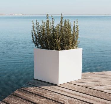 Vaso quadrato NARCISO 40