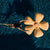 Fiore galleggiante FLOWER