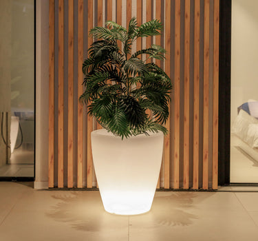 Vaso tondo con luce VIOLETA 55 CAVO