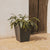 Vaso quadrato CALENDULA 50 Rustica colore