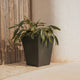 Vaso quadrato CALENDULA 50 Rustica colore