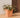 Vaso quadrato CALENDULA 50 Rustica colore