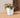 Vaso quadrato CALENDULA 50 Rustica colore