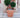 Vaso quadrato CALENDULA 50 Rustica colore