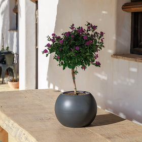 VASO ROTONDO DALIA 30