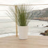 Vaso tondo de colore GERBERA 45