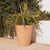 Vaso luminato con finura rustica GERBERA 50