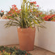 Vaso luminato con finura rustica GERBERA 50