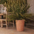 Vaso luminato con finura rustica GERBERA 50