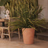Vaso luminato con finura rustica GERBERA 50